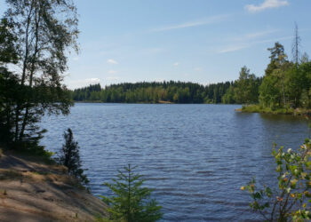 Hålldammen