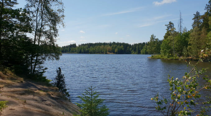 Hålldammen