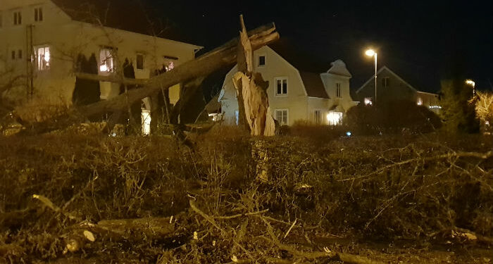 Räddningstjänsten fick ta hand om det nedfallna trädet på Vallevägen.