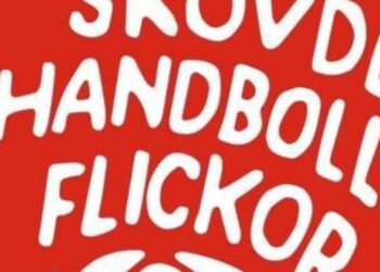 Magnus Frisk stämmer Skövde HF på 40.000 kr.
