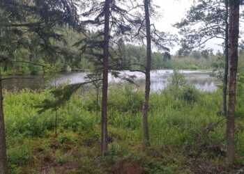 Billingen i Skövde