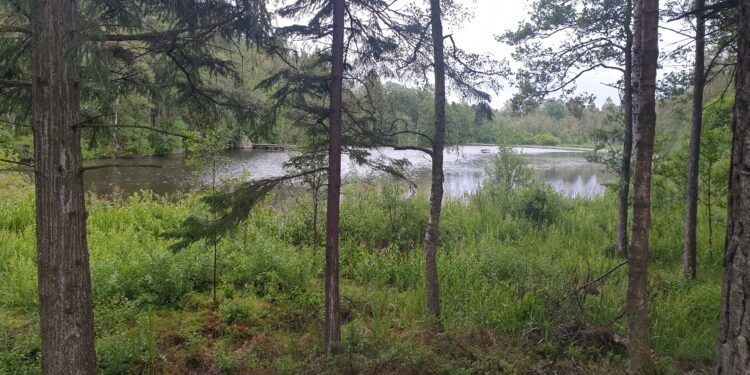 Billingen i Skövde
