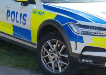 Polisbil
