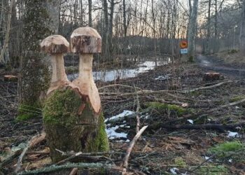 Svampar, träkonstverk vid Karstorp i Skövde