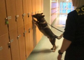 Stor förebyggande narkotikainsats på Gymnasium Skövde Västerhöjd