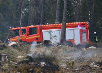 Brandbil i skog