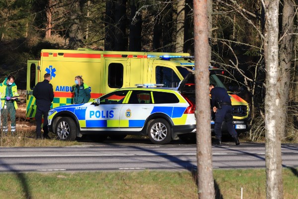 Personbil voltade av 184:an