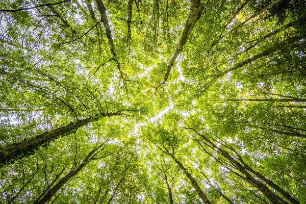 Falköpings Kommuns klimatlöften