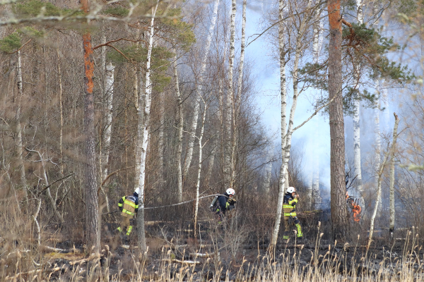 Brand spred sig till terrängen i Öglunda