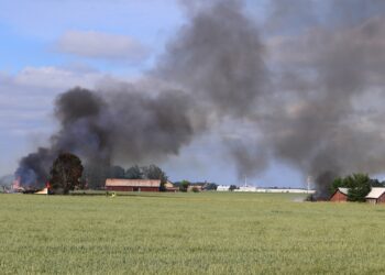 Flera byggnader brann ner – Man gripen misstänkt för mordbrand