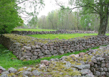 Väsmetorp blir nytt kommunalt naturreservat