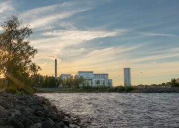 VD för Lidköpings Energi får sparken