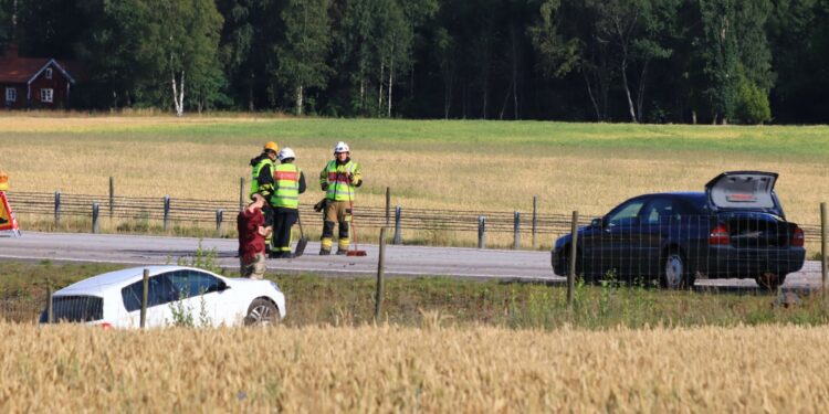 Foto: Christian Svensson
