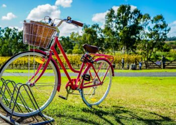 Bjuder in till cykelbio i folkets park