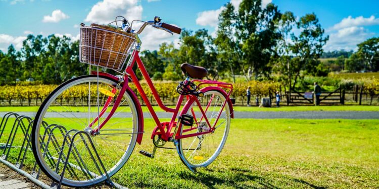 Bjuder in till cykelbio i folkets park