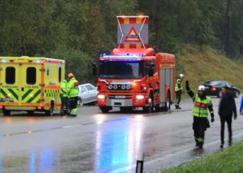 Olycka på 49:an orsakade köer