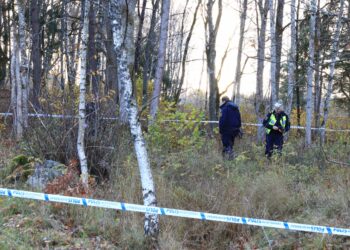 Misstänkt grovt våldsbrott i Falköping