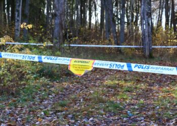 Misstänkt grovt våldsbrott i Falköping