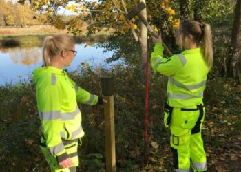 Å-leden rustas upp i Tibro efter medborgardialog