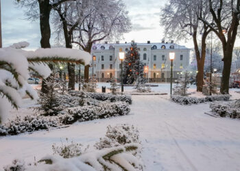 Efterlysning: Julgran till torget i Mariestad