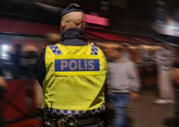 Polismans ryggtavla i nattlivsmiljö.