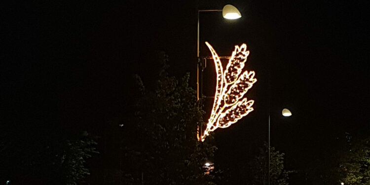 FOTO: Vara kommun