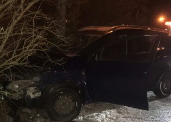 Man åtalas efter vansinnesfärd genom Lidköping