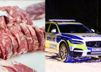 Kött för stora värden stals i Skara