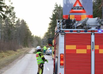 Personbil körde in i nedfallet träd