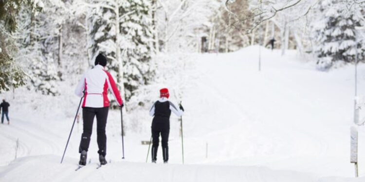 FOTO: Skövde Kommun - Pressbild