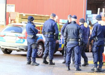 Sökandet efter försvunna Amela fortsätter – en man är anhållen misstänkt för människorov