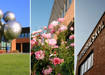 Nya inriktningar på Katedralskolan i höst