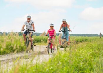 Testar uthyrning av elcykel online under sommaren
