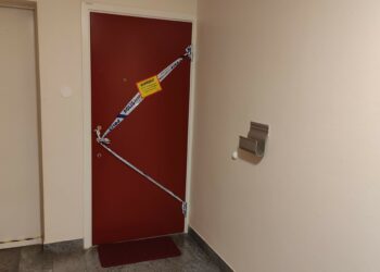 Åtalas för bestialiskt mord på kvinna i Falköping