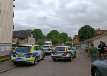 Stort polispådrag i Falköping