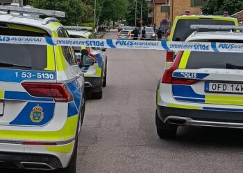 Stort polispådrag i Falköping