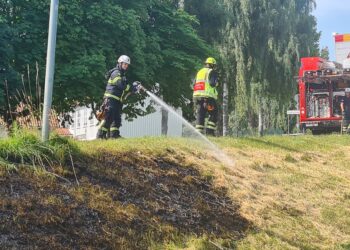 Mindre gräsbrand kunde släckas fort