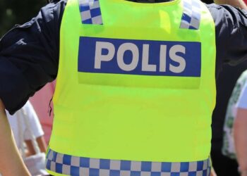 polis-rygg
