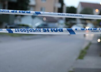 Misstänkt för mord ska genomgå rättspsykiatrisk undersökning