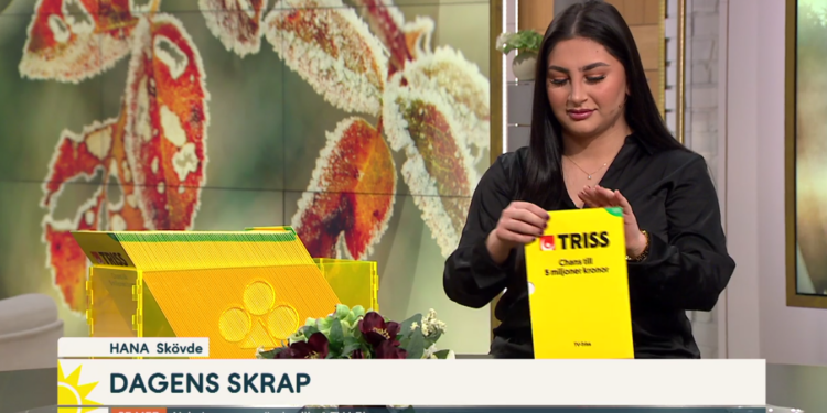 FOTO: Skärmdump - TV4.se
