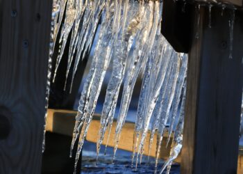 Stor ökning av frysskador på fritidshus i vinter