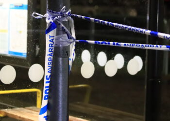 Kvinna hittad död utomhus – Polisen utreder mord