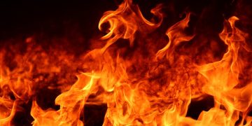 brand