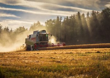 Gödselpriserna faller kraftigt