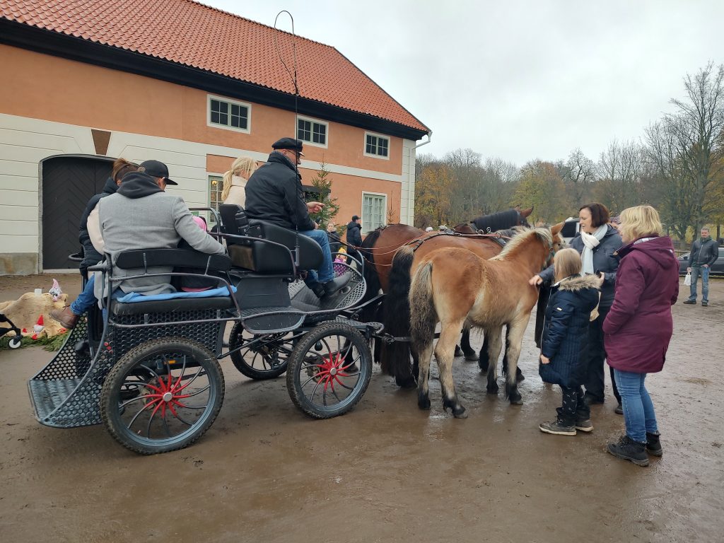 Häst och vagn på julmässan