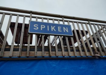 BILDEXTRA: Löjrommens dag på Spiken
