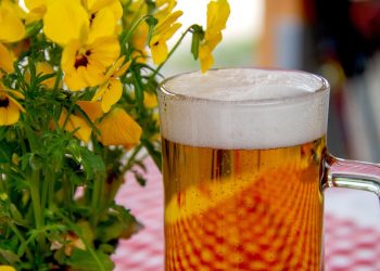 Svenskar dricker mer alkoholfri öl