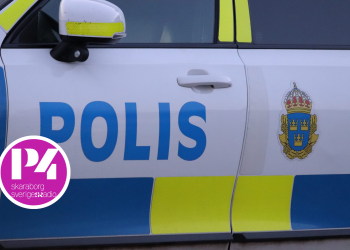 Hundattacken i lördags – inget brott