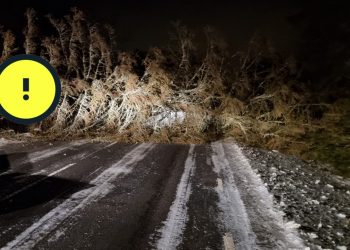 SMHI varnar för hårda vindbyar – 28 m/s