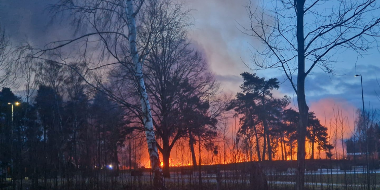 Folkets Park Skara